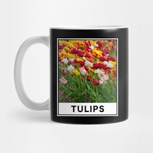 The Beauty of Colorful Tulip Flower Accompanied by a Gentle Breeze Photography Mug